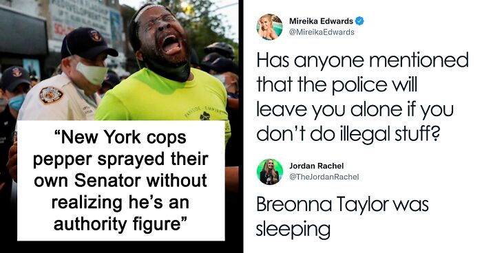 50 Pictures From The Online “Gallery Of Inexplicable Stupidity”