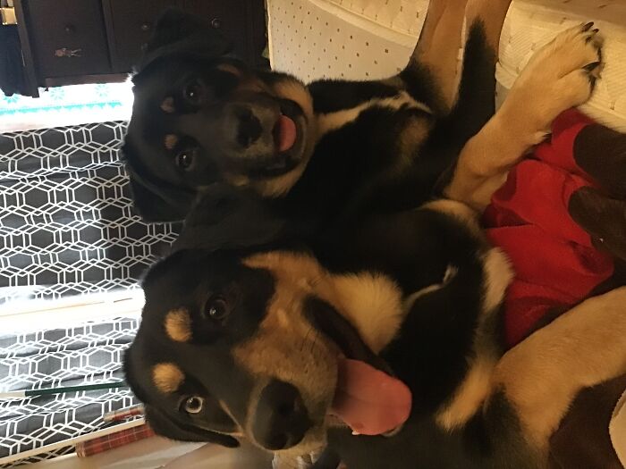 Narco And Luna Aftermath Playtime!