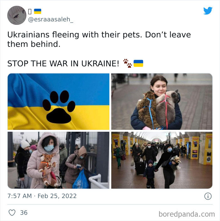 Heartbroking-Moments-Ukraine-Russia-War