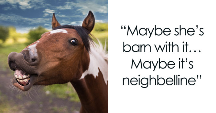 142 Funny Horse Puns That Are Just Oat-Standing