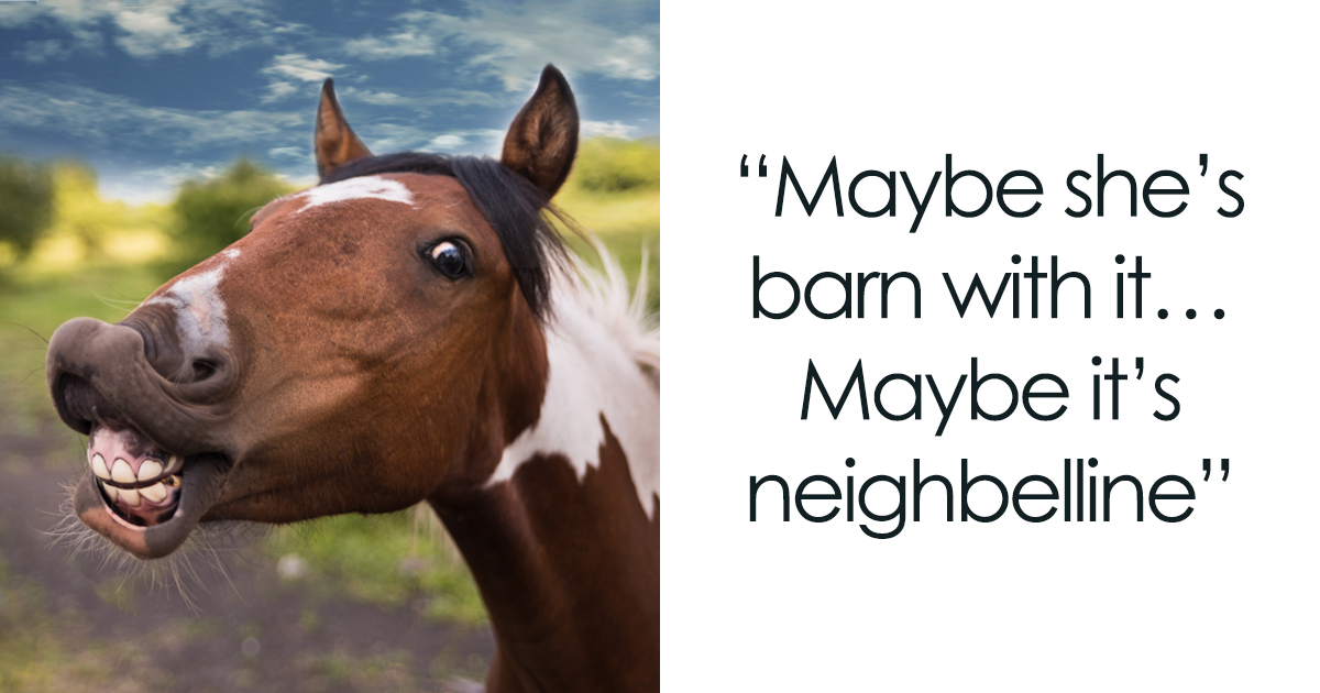 142 Funny Horse Puns That Are Just Oat-Standing | Bored Panda