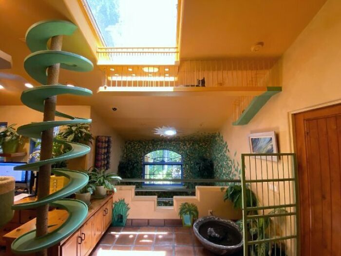 This Man Designed A Purrfect House For His 20-Plus Rescue Cats This Man Designed A Purrfect House For His 20-Plus Rescue Cats