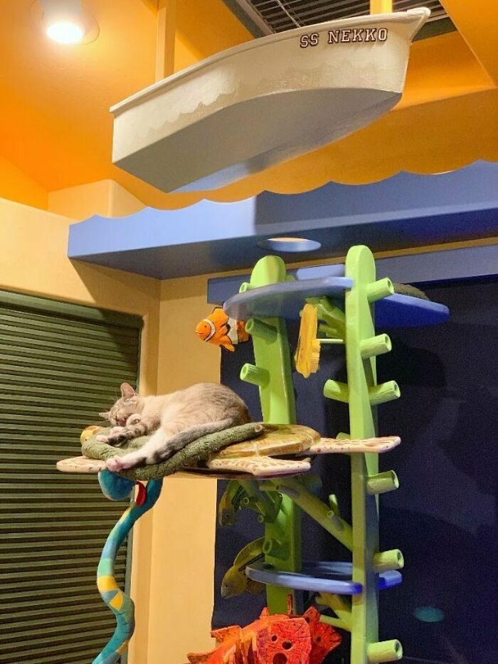 This Man Designed A Purrfect House For His 20-Plus Rescue Cats This Man Designed A Purrfect House For His 20-Plus Rescue Cats