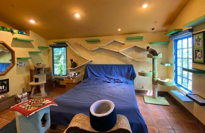 This Man Designed A Purrfect House For His 20-Plus Rescue Cats This Man Designed A Purrfect House For His 20-Plus Rescue Cats