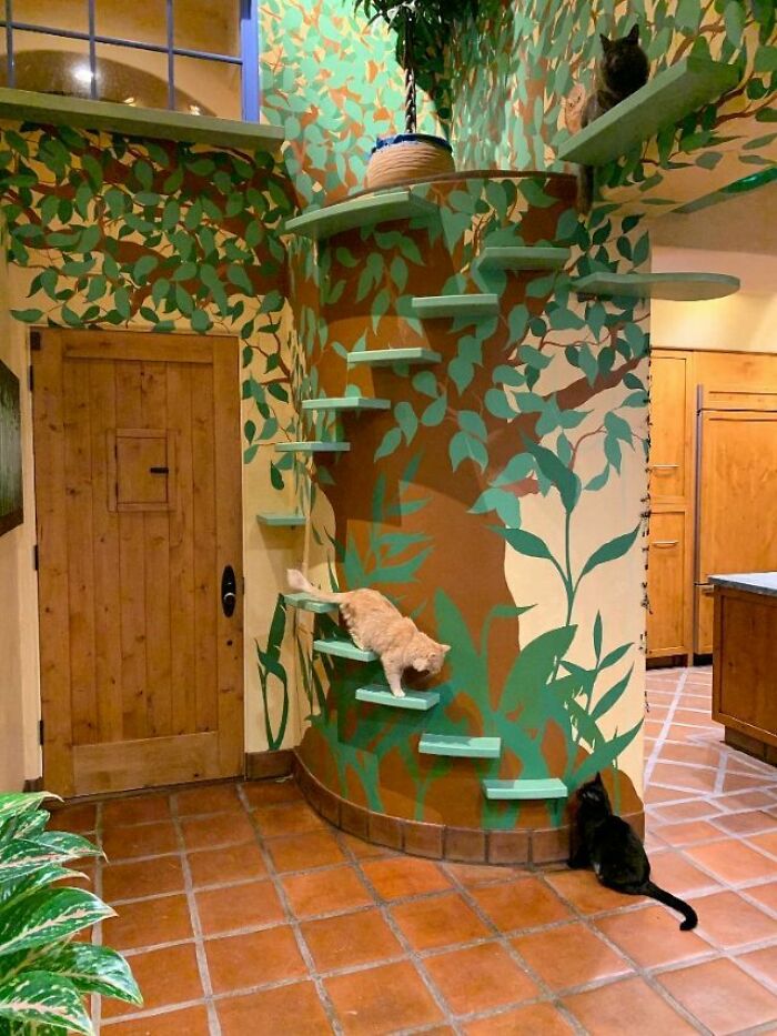 Este hombre diseñó la casa perfecta para sus más de 20 gatos rescatados