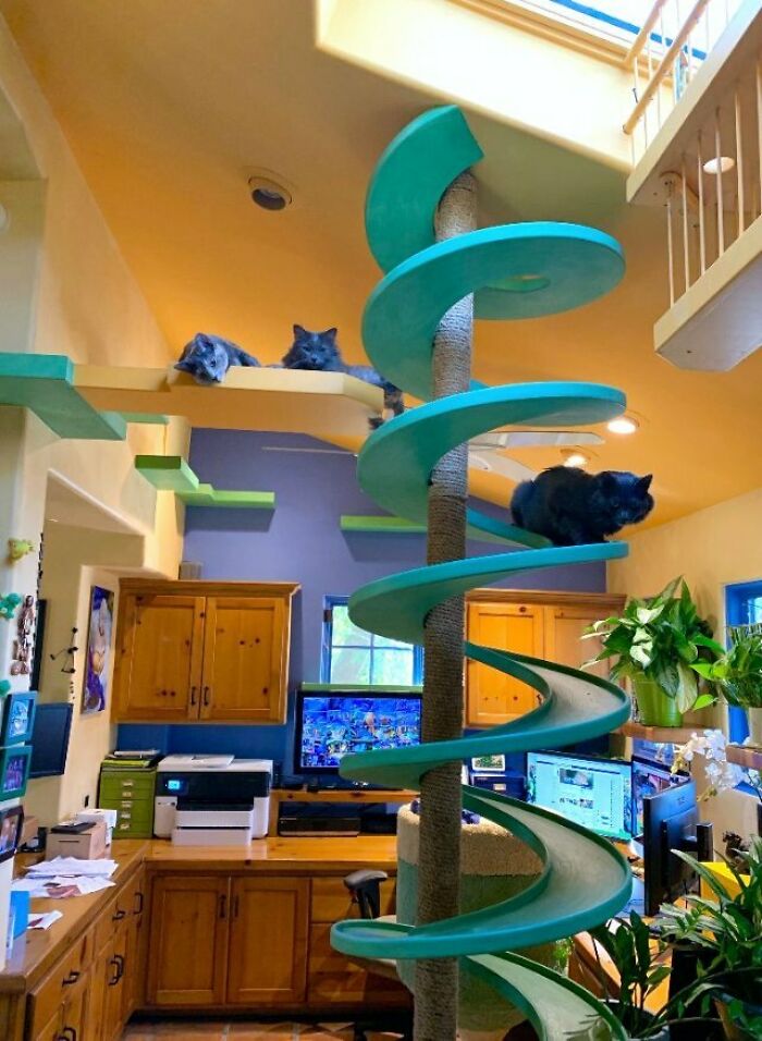 Šis vyras suprojektavo puikų namą savo 20 ir daugiau gelbėtojų katėms