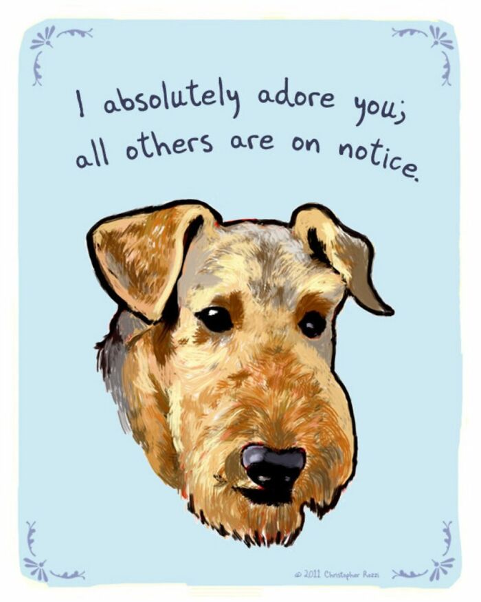 What Do Animals Really Think? Christopher Rozzi Reveals This To You! (30 Pics)