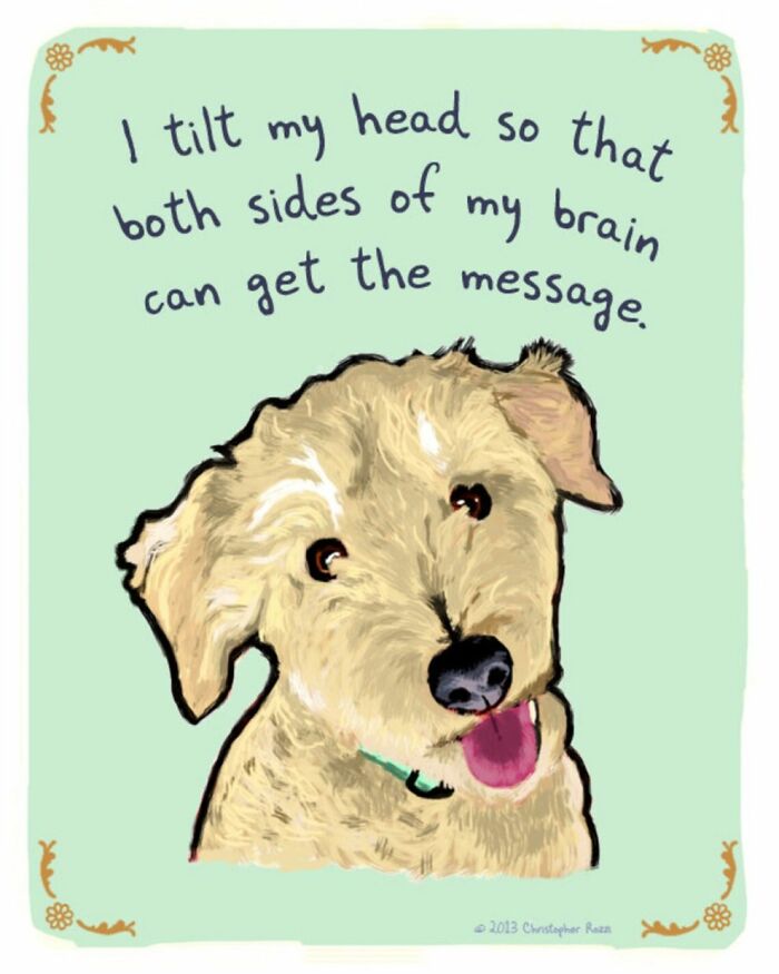 What Do Animals Really Think? Christopher Rozzi Reveals This To You! (30 Pics)