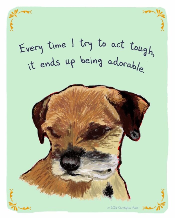 What Do Animals Really Think? Christopher Rozzi Reveals This To You! (30 Pics)