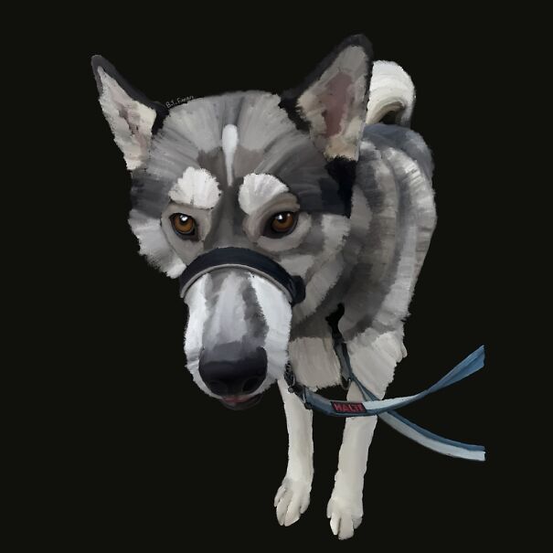 Not My Dog But A Friends, His Name Is Teddy. I’m An Artist By Trade. Drawing Pets Is My Fave