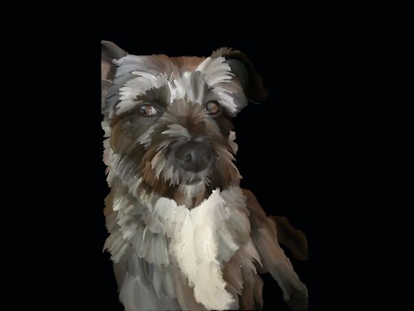 I Drew My Nans Dog Poppy Too!