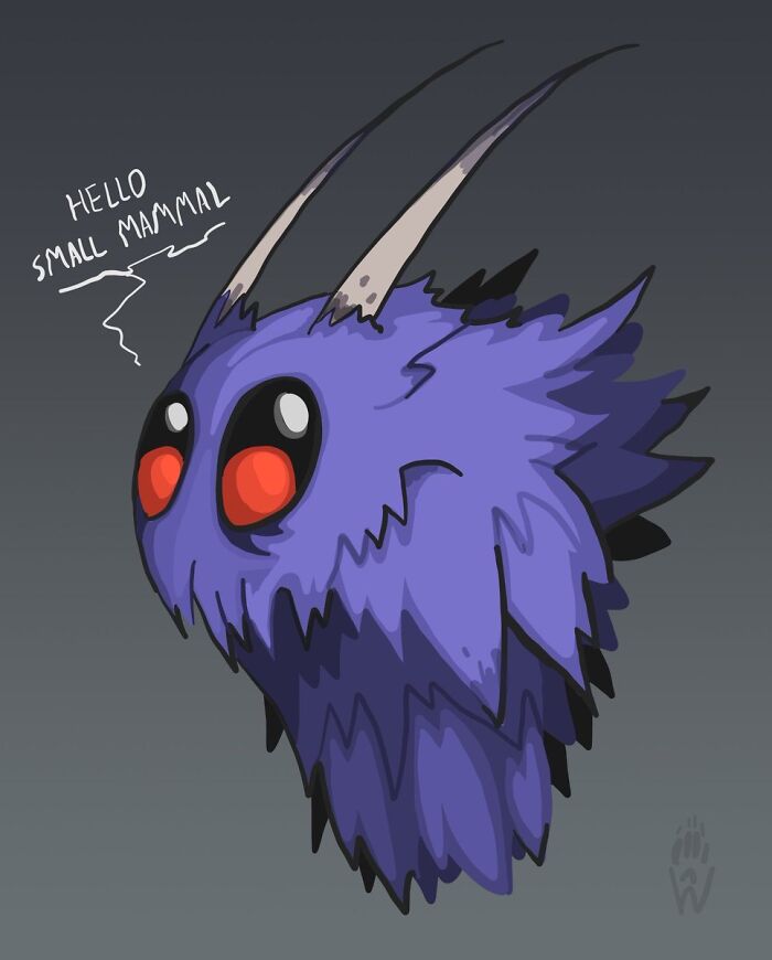 Hey Pandas, What’s The Cutest Thing In Your Photo Library?