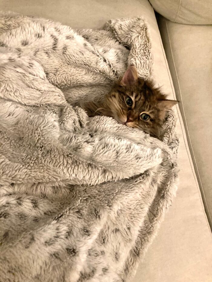 All Tucked In