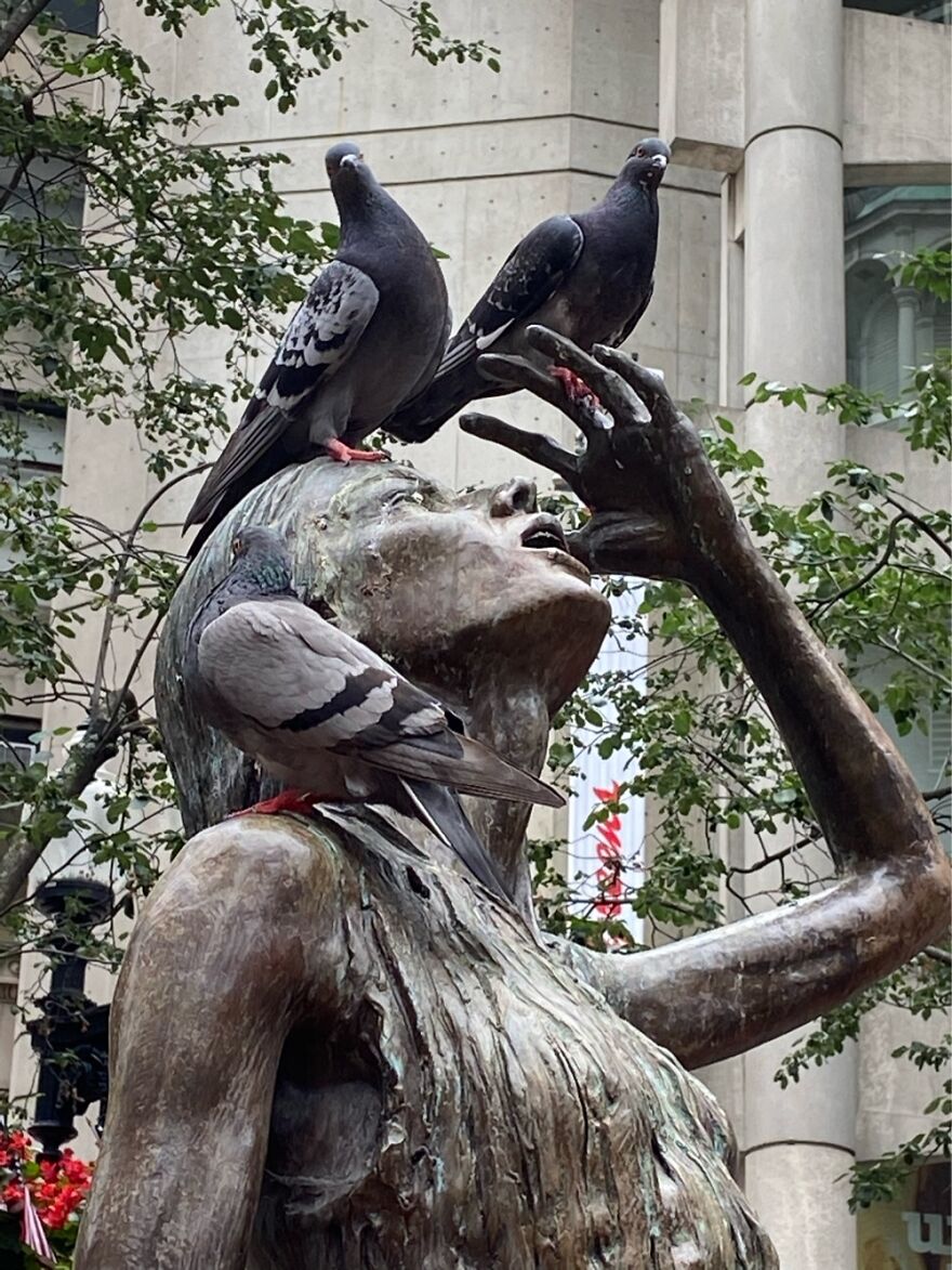 Birds On A Statue In Boston
