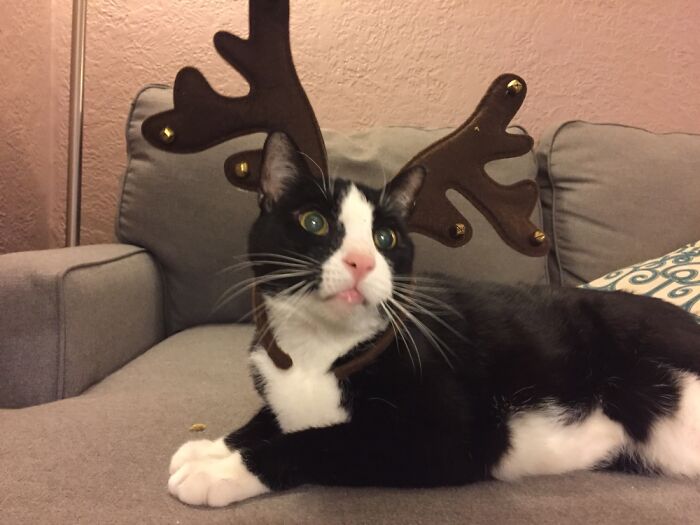 Does This Count As A Hat?