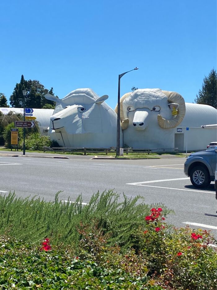 Interesting Couple Of Buildings In New Zealand