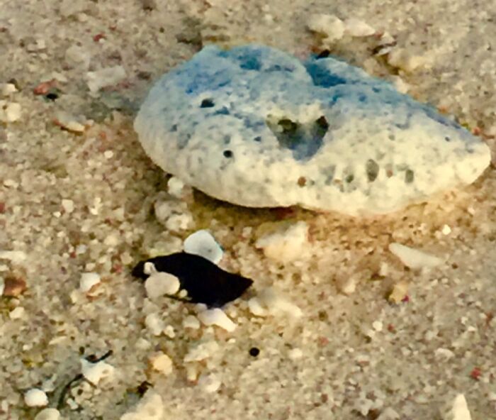 Heart In A Rock On A Beach