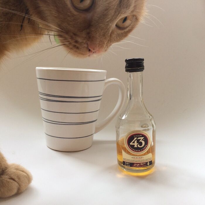 I Like My Coffee.. Strong^^