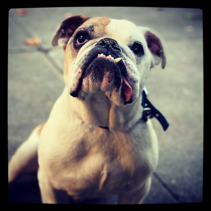 A Face Only A Mother Could Love!