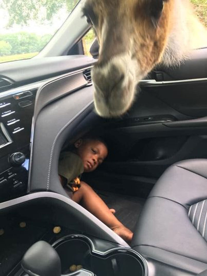50 Of The Funniest Images From The 'Kids In Predicaments' Facebook Page