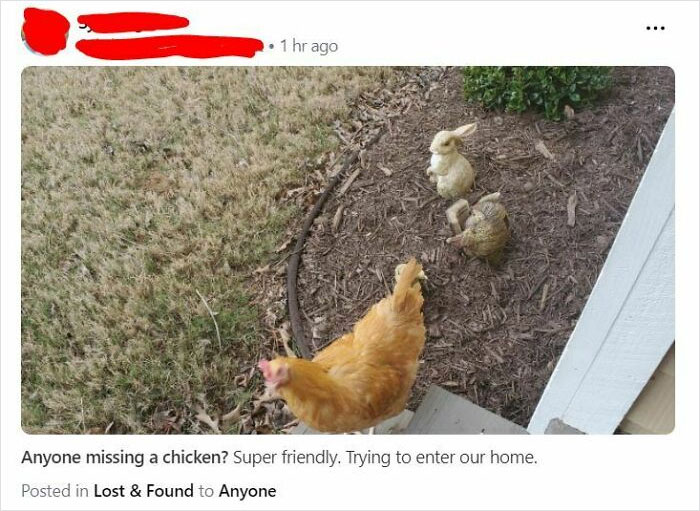 Because Nextdoor Isn't Always Racist Or Trashy, Here Is Something On The Lighter Side
