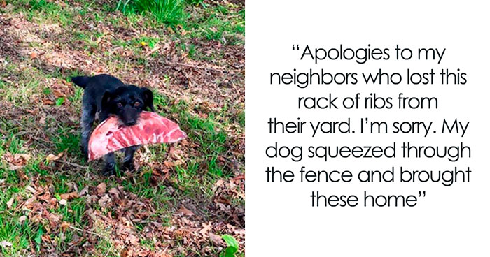35 Things That Happen Next Door Shared By This Online Group