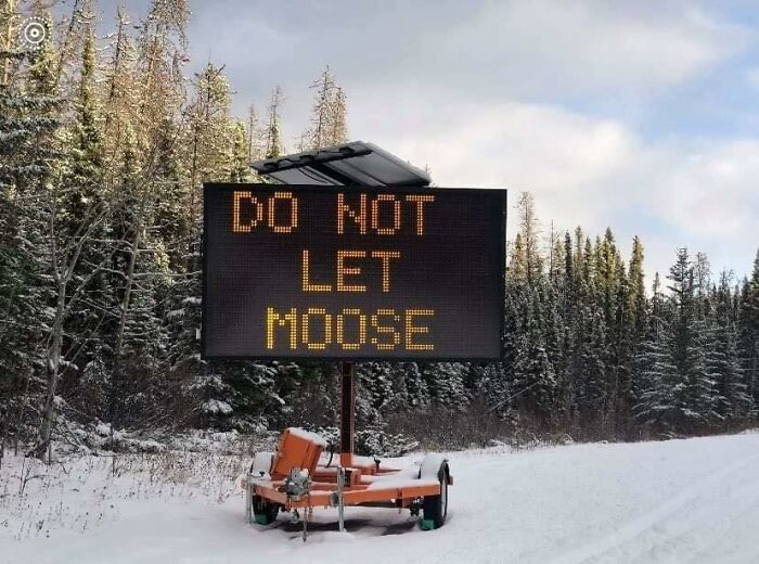 Not-Aesthetic-Things