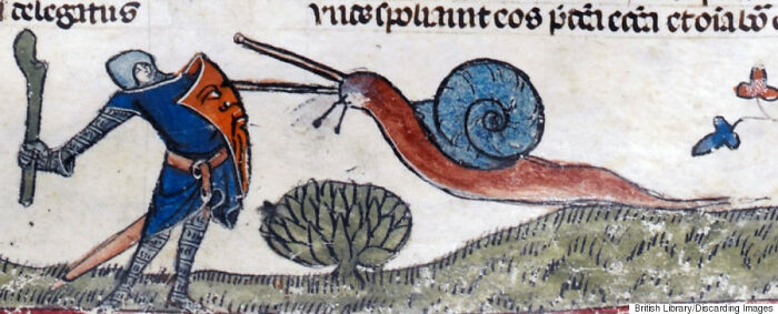A Slimy Creature Fights A Gaint Snail