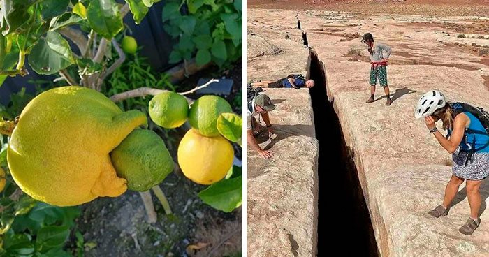 40 Imágenes extrañamente aterradoras que te darán escalofríos (nuevas fotos)