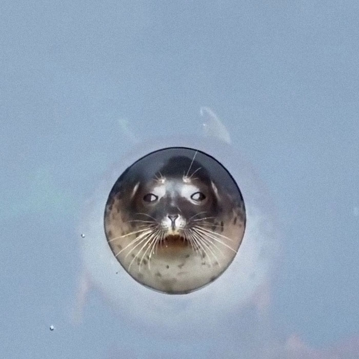 Perfect Watertight Seal