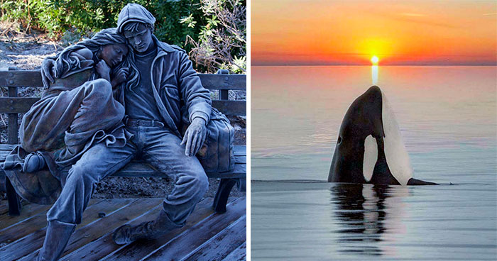 50 Oddly Satisfying Things For Your Inner Perfectionist (New Pics)