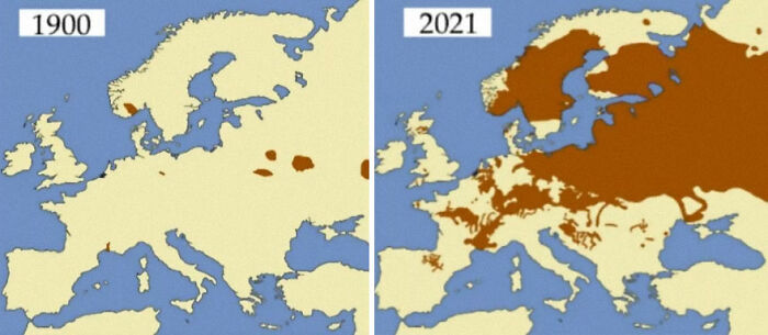 Castores en Europa, 1900 y 2021