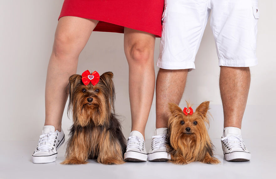 Red For A Lovely Family