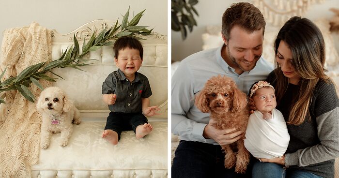 I Love It When Families Bring Their Pups To Their Photo Sessions And Here Are 18 Photographs I Took