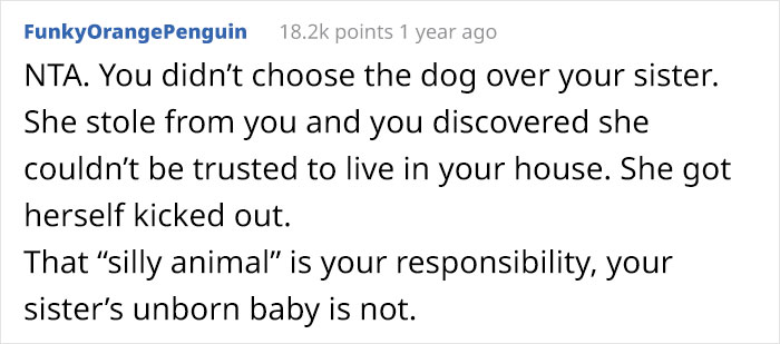 Woman Kicks Out Her Pregnant Sister From Apartment Because She Threw Out Her Husky, Faces Backlash From Family Woman Kicks Out Her Pregnant Sister From Apartment Because She Threw Out Her Husky, Faces Backlash From Family