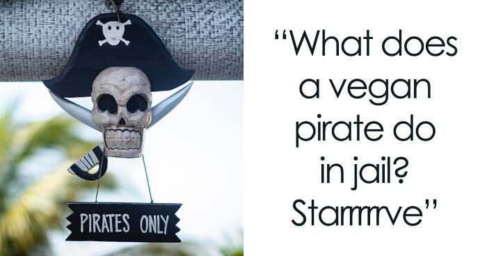 116 Pirate Puns That Arrrgh Pretty Hilarious