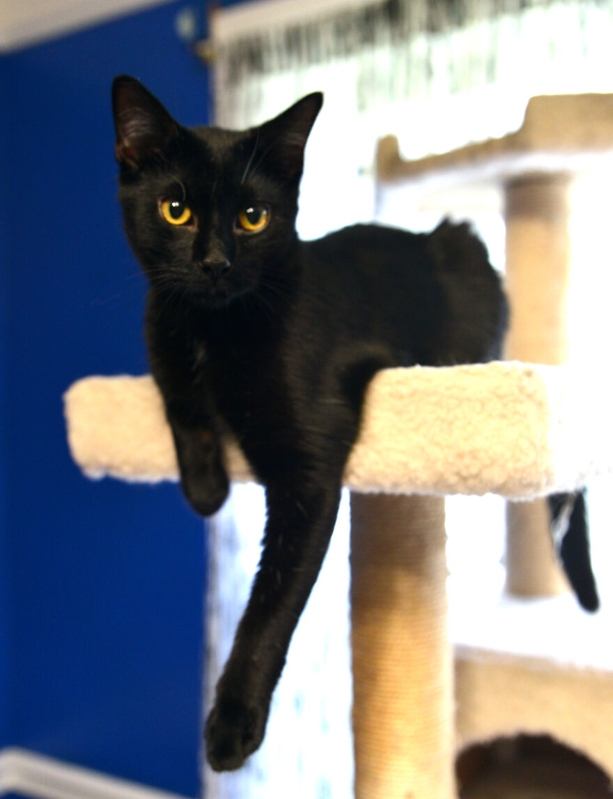 I Made Over 300 Comics This Year And Posted Every Single One, Here Are Some Random Samples For Some Laughs I Made Over 300 Comics This Year And Posted Every Single One, Here Are Some Random Samples For Some Laughs