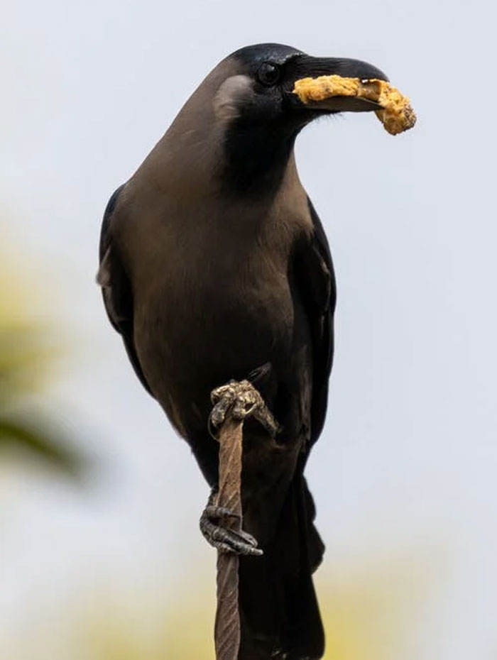 40 People Are Sharing Shockingly Terrifying Things They've Witnessed