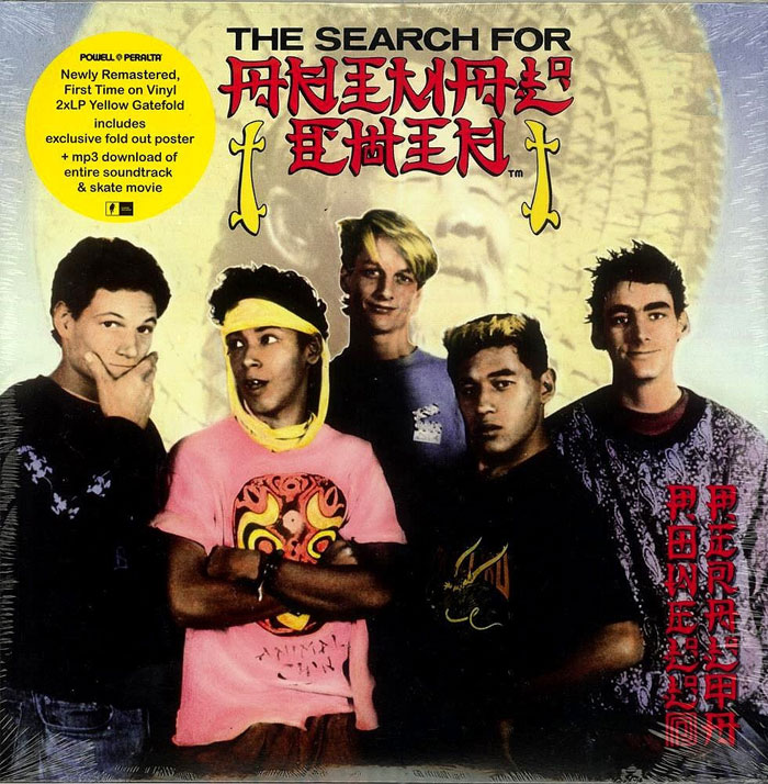 The Search For Animal Chin