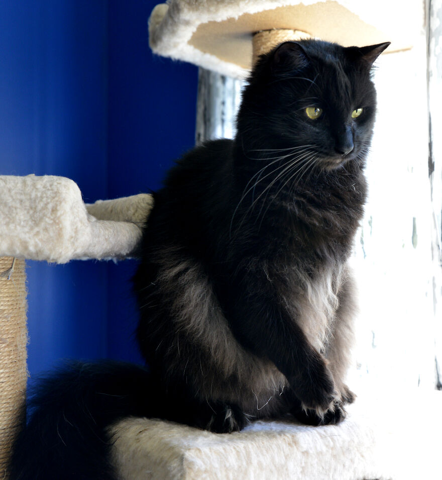 I Made Over 300 Comics This Year And Posted Every Single One, Here Are Some Random Samples For Some Laughs I Made Over 300 Comics This Year And Posted Every Single One, Here Are Some Random Samples For Some Laughs