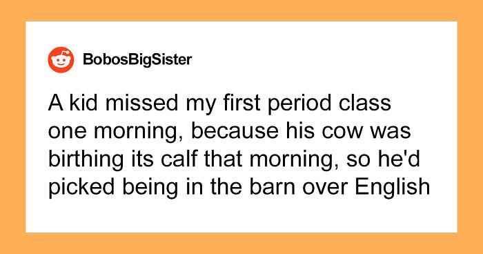 40 Teachers Share Unbelievable Student Excuses For Being Late That Turned Out To Be 100% True