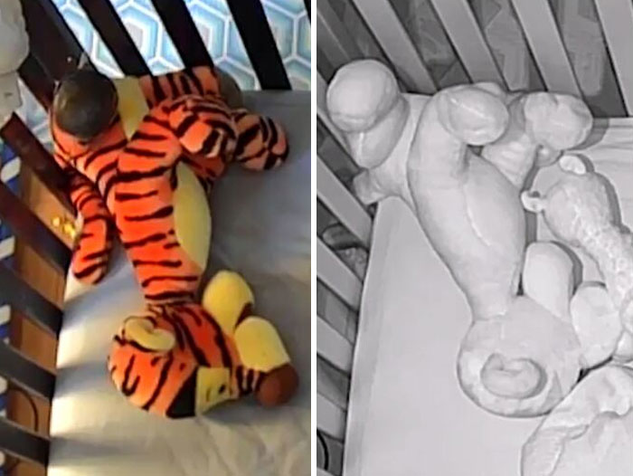 My Daughter's Tigger Has Distinct Bright And Dark Stripes In Normal Light, But Is Entirely Pale White In Night Vision