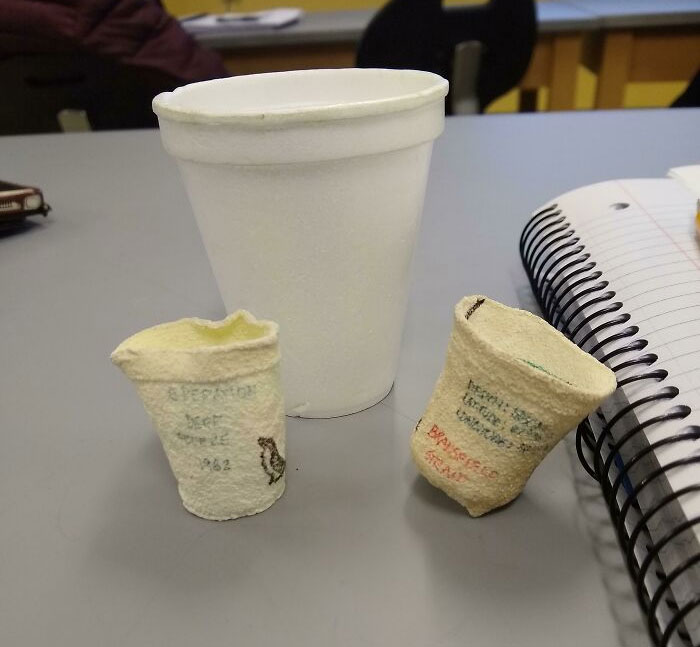 Professor And Her Research Team Sent Full-Size Styrofoam Cups Down A Bore Hole In Antarctica While Drilling Out Core Samples