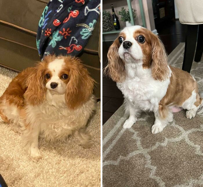 Rosie Is Almost At Her Goal Weight