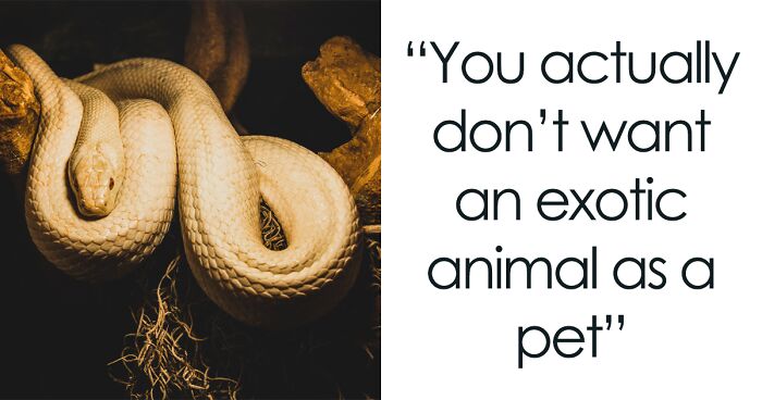 People Share 40 Things The General Public Doesn’t Understand About Their Profession