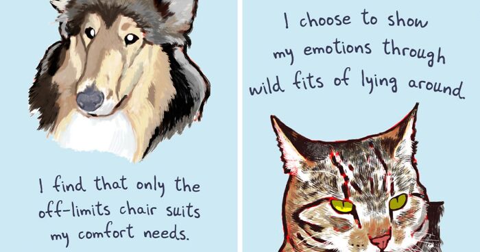 Artist Illustrates Honest Confessions From Pets, And Here Are The 30 Best Ones