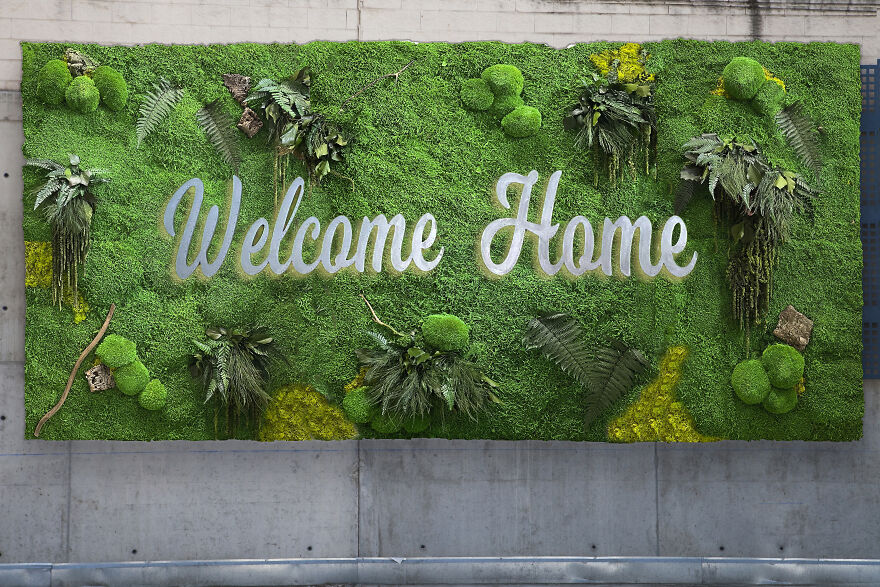 I Create Art With Moss I Create Art With Moss