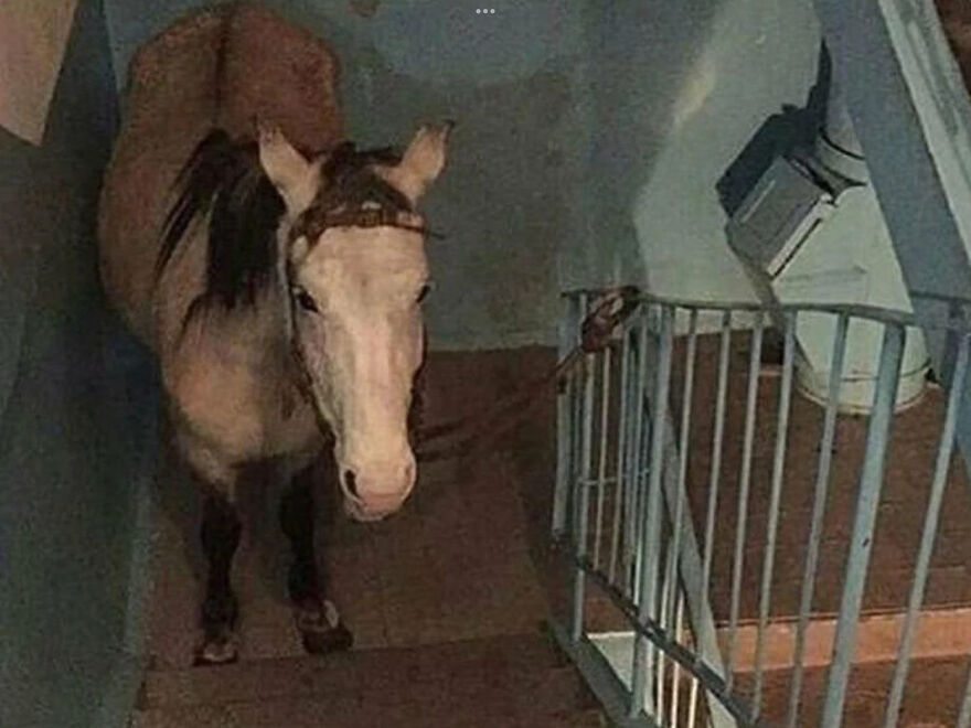 I Found 24 Of The Funniest And Weird Cursed Images I Found 24 Of The Funniest And Weird Cursed Images