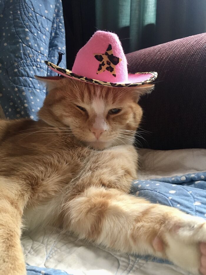 Oh Milocat... You’re So Patient With Us. Haha. Love Ya Bud❤️