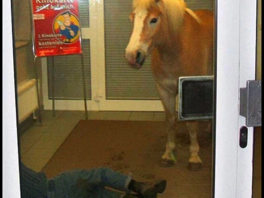 I Found 24 Of The Funniest And Weird Cursed Images